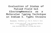 Evaluation of Status of Pulsed Field Gel Electrophoresis as a Molecular Typing Technique in Indian S. Typhi Strains Meenakshi, Randhawa V S, Rao B, Dutta.