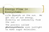 Energy Flow in Ecosystems Life depends on the sun. We get all of our energy, directly or indirectly from the sun. The process called photosynthesis uses.