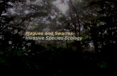 Plagues and Swarms Invasive Species Ecology. Invasive Species Invasive species are defined as non-native exotic organisms whose introduction to new areas.