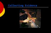 Collecting Evidence. Collecting…….FIRST OF ALLL  Photograph before any collecting is done  Wear gloves, mask,& Tyvec suit so as not to contaminate the.