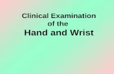 Clinical Examination of the Hand and Wrist. OBJECTIVES Review the clinical anatomy and physical exam of the wrist and hand Formulate a pathoanatomic.