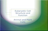 Eukaryotic Cell Structure and Function Animal and Plant Cells.