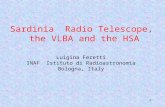 1 Sardinia Radio Telescope, the VLBA and the HSA Luigina Feretti INAF Istituto di Radioastronomia Bologna, Italy.