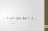 Patología del SHE Carla Osses Pincheira Junio 2014.