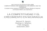 1 LA COMPETITIVIDAD Y EL CRECIMIENTO EN NICARAGUA Manuel R. Agosin Rodrigo A. Bolaños Félix Delgado Setiembre 2007 Inter-American Development Bank (IDB)