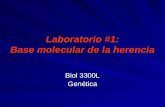 Laboratorio #1: Base molecular de la herencia Biol 3300L Genética.