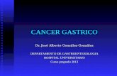 CANCER GASTRICO Dr. José Alberto González-González DEPARTAMENTO DE GASTROENTEROLOGIA HOSPITAL UNIVERSITARIO Curso pregrado 2013.