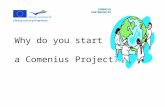 Why do you start a Comenius Project? COMENIUS PARTNERSHIPS.