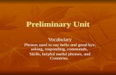 Preliminary Unit Vocabulary Phrases used to say hello and good bye, asking, responding, commands, Skills, helpful useful phrases, and Countries.