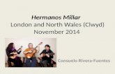 Hermanos Millar London and North Wales (Clwyd) November 2014 Consuelo Rivera-Fuentes.