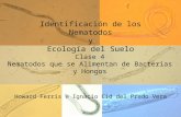 Identificación de los Nematodos y Ecología del Suelo Clase 4 Nematodos que se Alimentan de Bacterias y Hongos Howard Ferris e Ignacio Cid del Prado Vera.