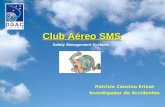 Patricio Cancino Erisse Investigador de Accidentes Club Aéreo SMS Safety Management Systems.