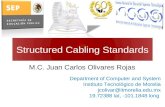 Structured Cabling Standards M.C. Juan Carlos Olivares Rojas Department of Computer and System Instituto Tecnológico de Morelia jcolivar@itmorelia.edu.mx.
