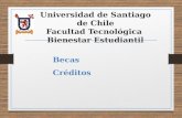 Universidad de Santiago de Chile Facultad Tecnológica Bienestar Estudiantil Becas Créditos.