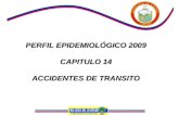 PERFIL EPIDEMIOLÓGICO 2009 CAPITULO 14 ACCIDENTES DE TRANSITO ACCIDENTES DE TRANSITO.