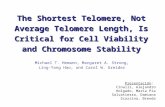 The Shortest Telomere, Not Average Telomere Length, Is Critical for Cell Viability and Chromosome Stability Michael T. Hemann, Margaret A. Strong, Ling-Yang.
