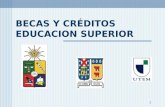 1 BECAS Y CRÉDITOS EDUCACION SUPERIOR. 2   (contiene: link créditos educación superior, link borrador de formulario.