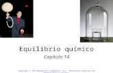 Equilibrio químico Capítulo 14 Copyright © The McGraw-Hill Companies, Inc. Permission required for reproduction or display.