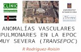 R Rodriguez-Roisin UNIVERSITAT DE BARCELONA ANOMALÍAS VASCULARES PULMONARES EN LA EPOC MUY SEVERA (TRANSEPOC)