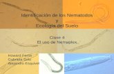 Identificación de los Nematodos y Ecología del Suelo Clase 4 El uso de Nemaplex Howard Ferris Gabriela Soto Alejandro Esquivel.