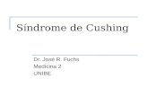 Síndrome de Cushing Dr. José R. Fuchs Medicina 2 UNIBE.