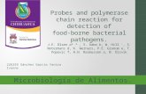 Probes and polymerase chain reaction for detection of food-borne bacterial pathogens. J.E. Olsen a* *, S. Aabo b, W. Hill ‘, S. Notermans d, K. Wernars,