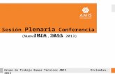 Sesión Plenaria Conferencia IMIA 2013 (Nueva Deli, India 2013) Grupo de Trabajo Ramos Técnicos AMISDiciembre, 2013.