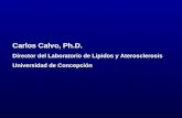 Carlos Calvo, Ph.D. Director del Laboratorio de Lipidos y Aterosclerosis Universidad de Concepción.