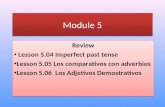 Module 5 Review Lesson 5.04 Imperfect past tense Lesson 5.05 Los comparativos con adverbios Lesson 5.06 Los Adjetivos Demostrativos Review Lesson 5.04.