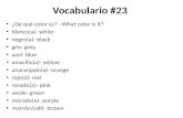 Vocabulario #23 ¿De qué color es? –What color is it? blanco(a)- white negro(a)- black gris- grey azul- blue amarillo(a)- yellow anaranjado(a)- orange rojo(a)-