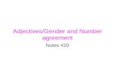 Adjectives/Gender and Number agreement Notes #20.