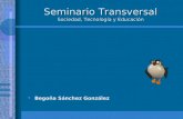 Seminario Transversal Sociedad, Tecnología y Educación Begoña Sánchez González.