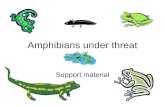 Amphibians under threat Support material. Distribution and threat Global diversity of amphibian species .
