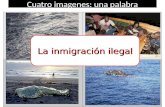 Cuatro imagenes: una palabra La inmigración ilegal.