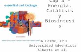 Cap 3 – Energía, Catálisis y Biosíntesis JA Carde, PhD Universidad Adventista Alberts et al.