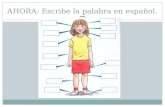 AHORA: Escribe la palabra en español.. Agenda: Repaso del cuerpo Vocabulario nuevo Claves Tarea: Deja un mensaje de un accidente. SWBAT talk about different.