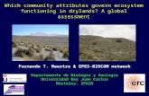 Which community attributes govern ecosystem functioning in drylands? A global assessment Fernando T. Maestre & EPES-BIOCOM network Departamento de Biología.