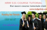 HRM 531 expert tutor/ indigohel