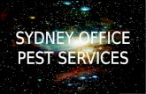 Sydney Office Pest Services