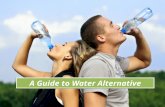 A Guide To Water Alternative | Birch Water