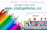 MGMT 570 Courses/Indigohelp