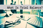 What Is a Trial Balance?