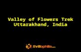 Valley of Flowers Trek Uttarakhand, India
