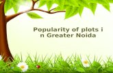 Popularity of plots in Greater Noida