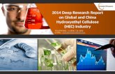 Global and and China Hydroxyethyl Cellulose (HEC) Market