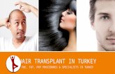 Top Hair Transplant in Turkey