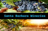 Santa Barbara Wineries