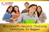Microsoft Project Training Institute Nagpur