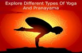 Browse Various Types of Yoga and Pranayama