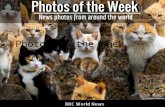 Photos of the Week
